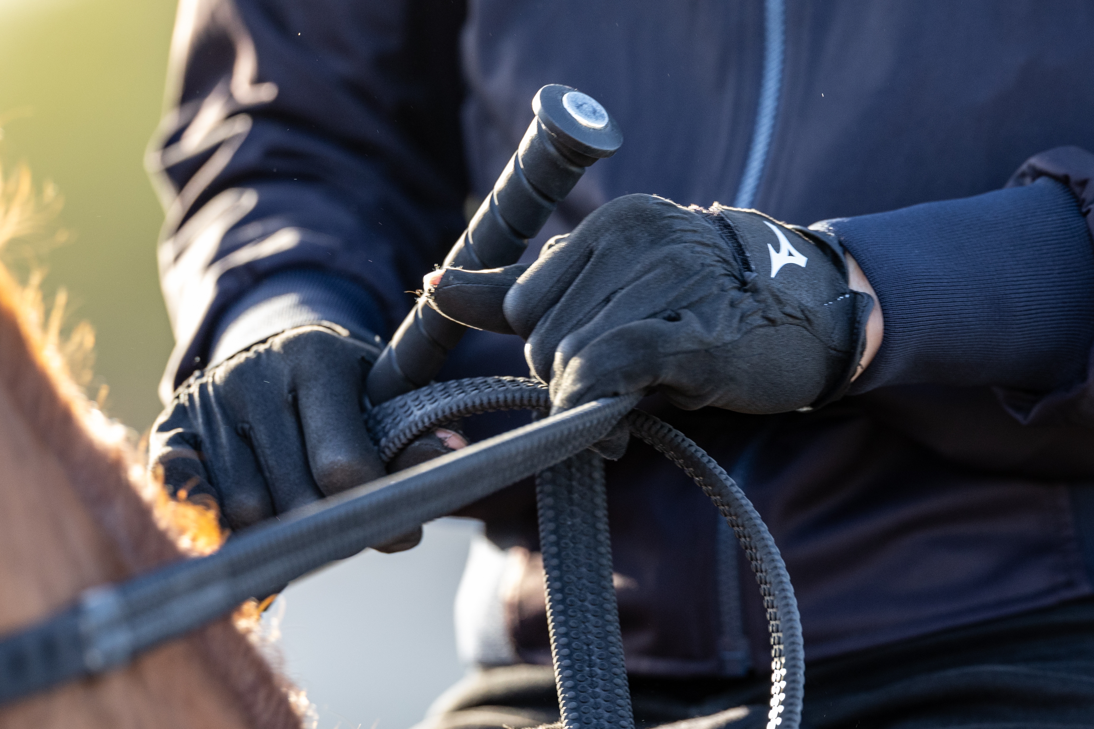 RS32845_21.2.25_THE SAUDI CUP_TRACKWORK_HANDS_NEVILLE HOPWOOD-7002.jpg