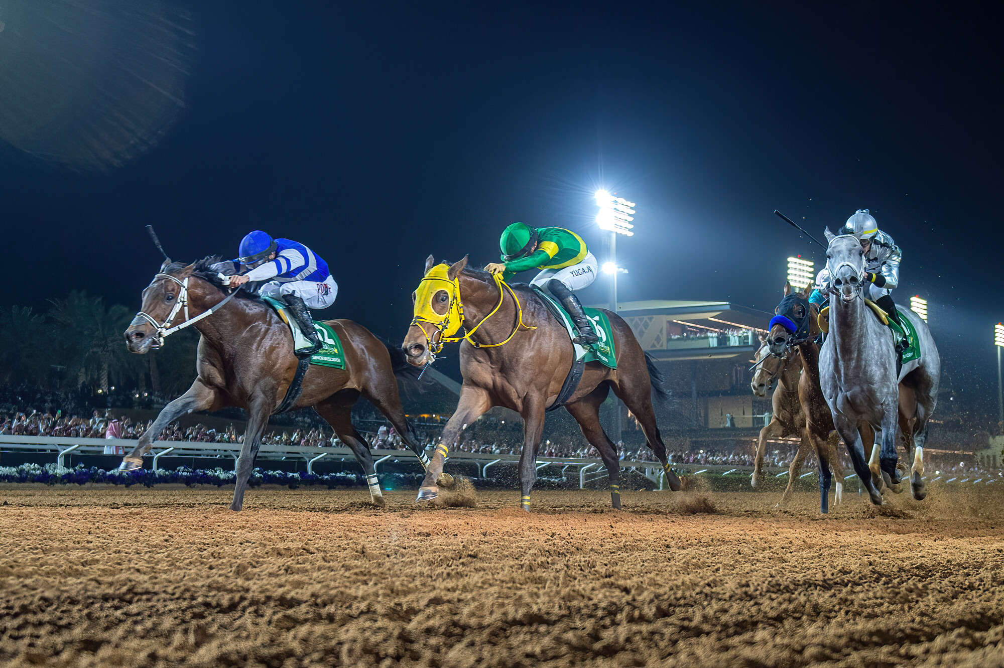 20240225_SaudiCup_RS21647_2-24-24_Senor_Buscador5_G1_Saudi_Cup___Mathea_Kelley.jpg