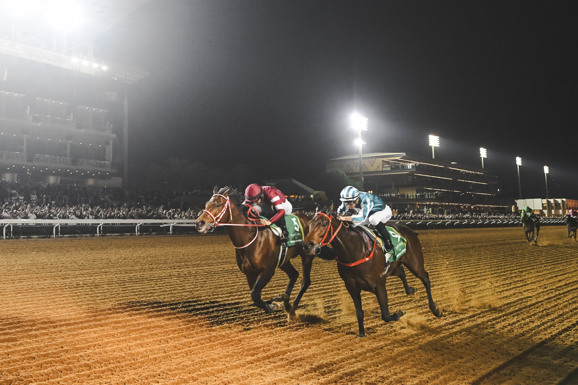 20260130_RS33496_250222_SaudiCup_racing_PaulMcMillan.jpg