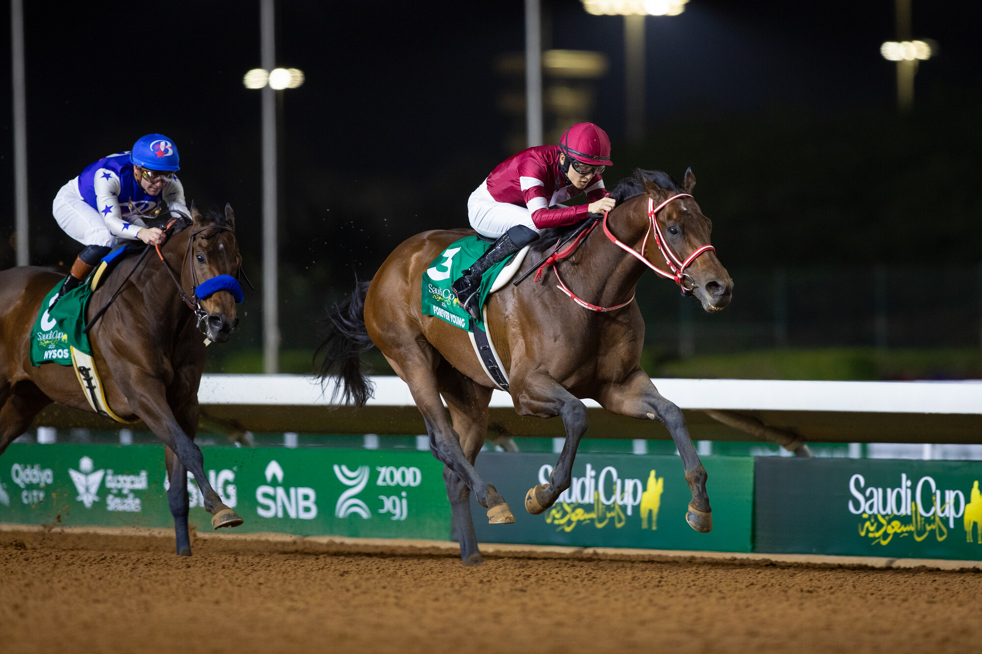 The Saudi Cup