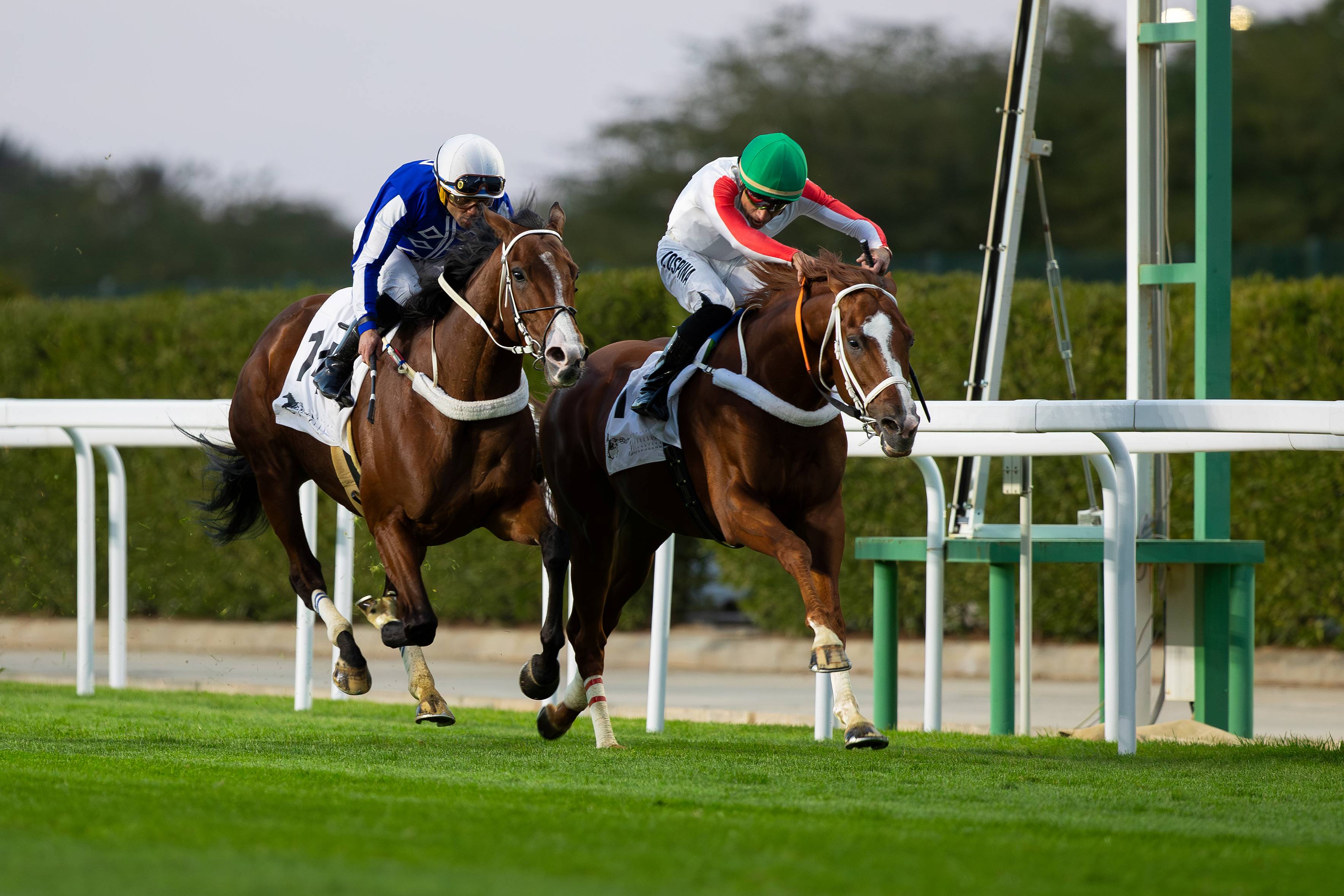 20260116_R4_Prince Khalid Abdullah Cup_.jpg