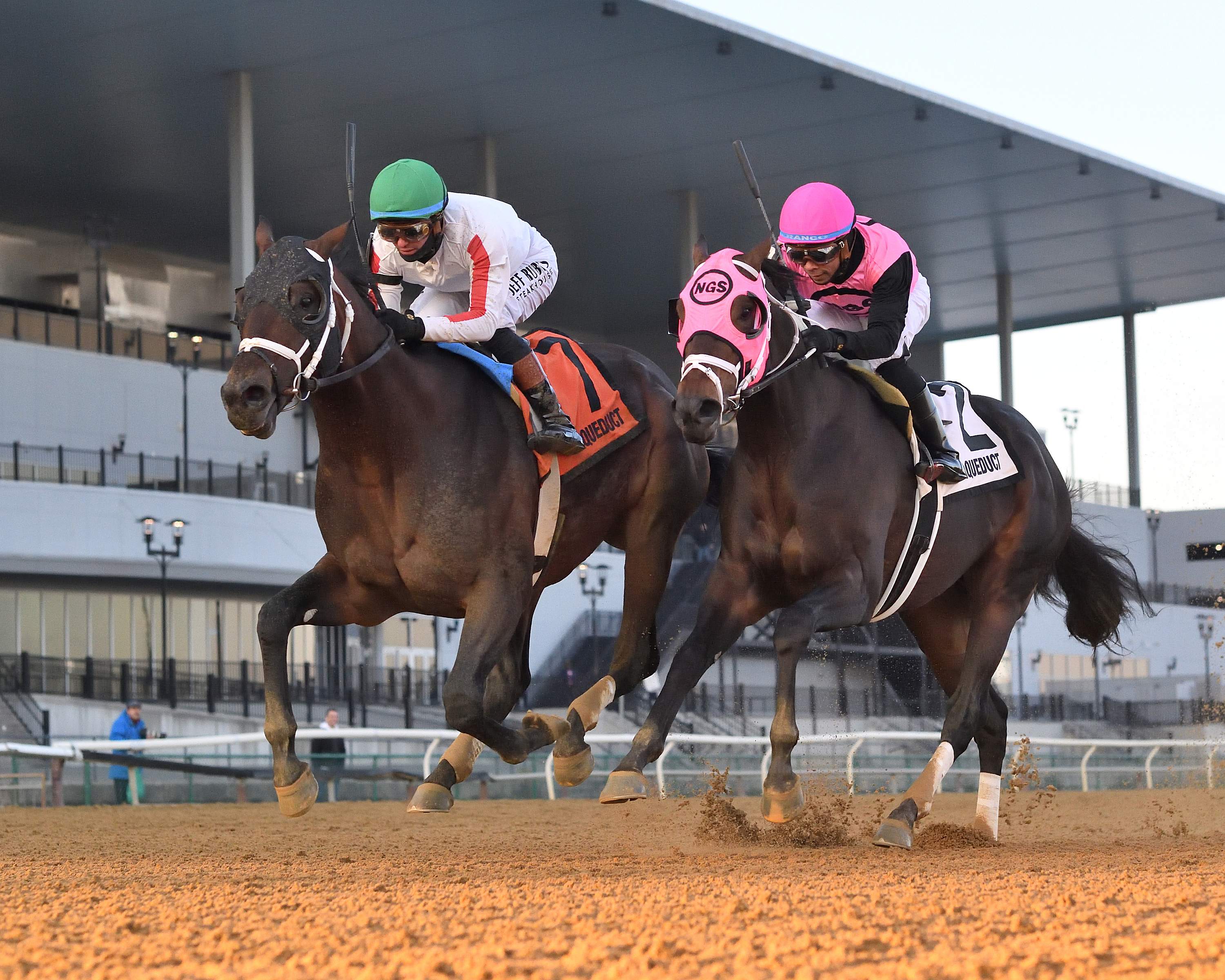 20260206_bishops bay the cigar mile.jpg