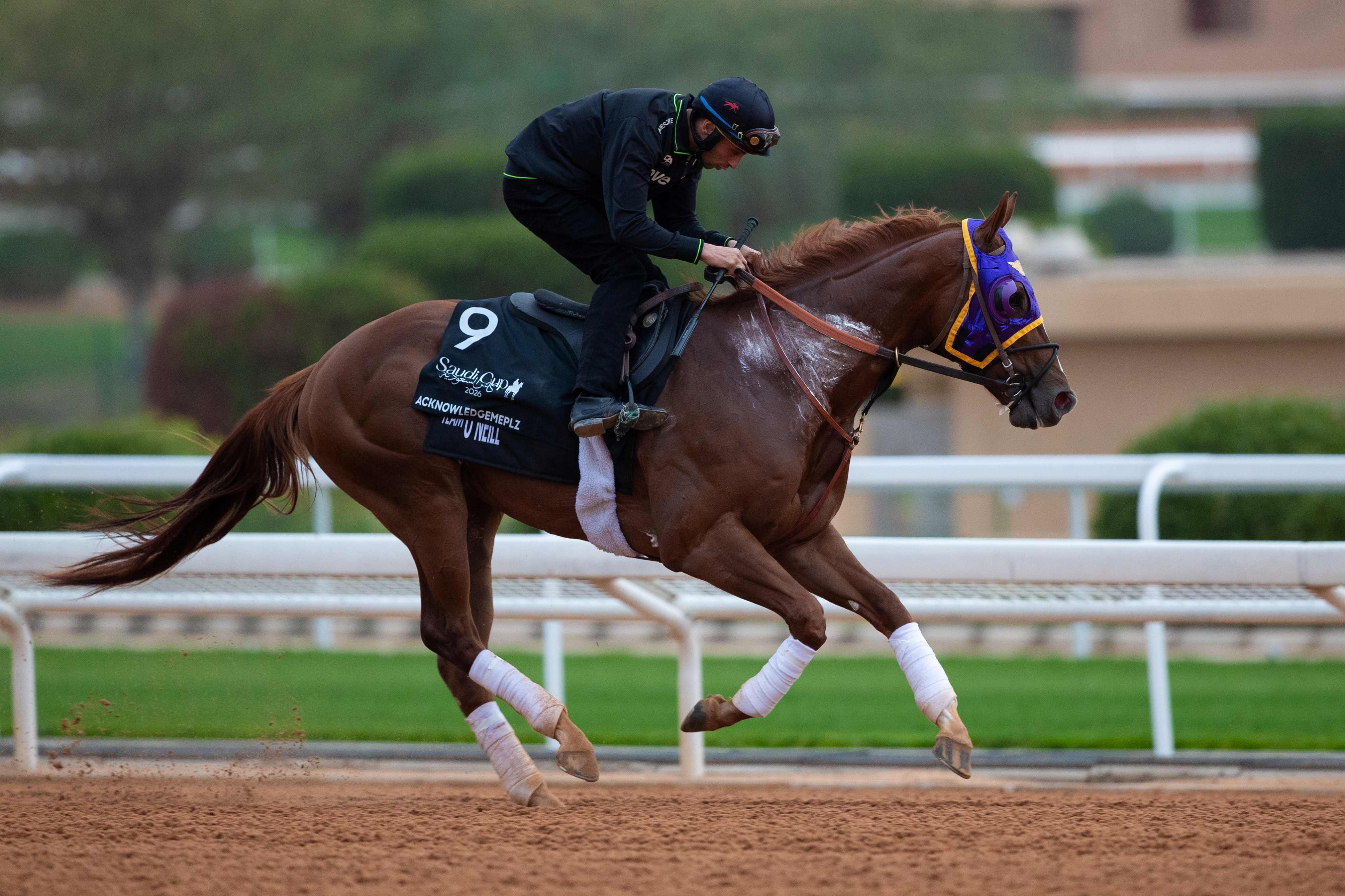 20260208_RS41266_ACKNOWLEDGEMEPLZ (USA).jpg