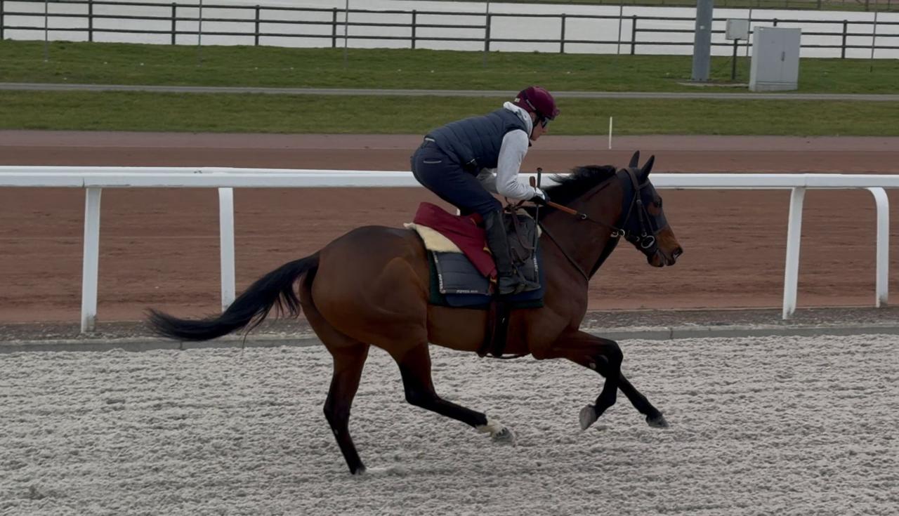 20260209_Iradie_Credit_Gaelle Gernay.jpeg