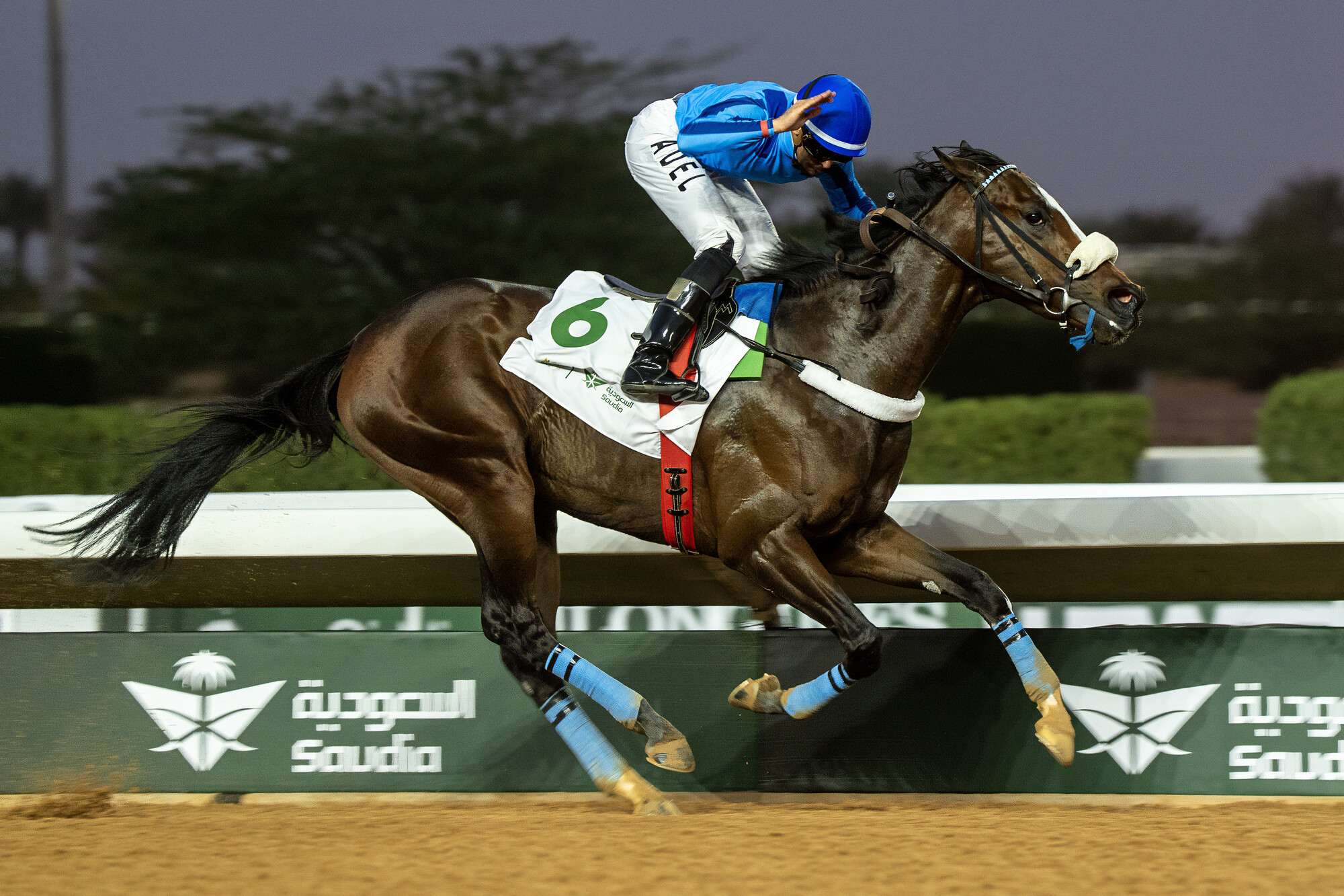 20260213 RS43451_Almad’agi 5_Sarawat Cup_21326_King Abdulaziz Racecourse_Riyadh Saudi Arabia_ Mathea Kelley-JCSA_lpr.jpg