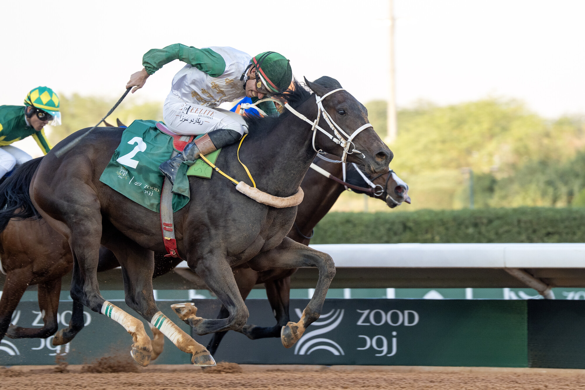 20260214_RS43580_Al Haram2_SaudiCup.jpg