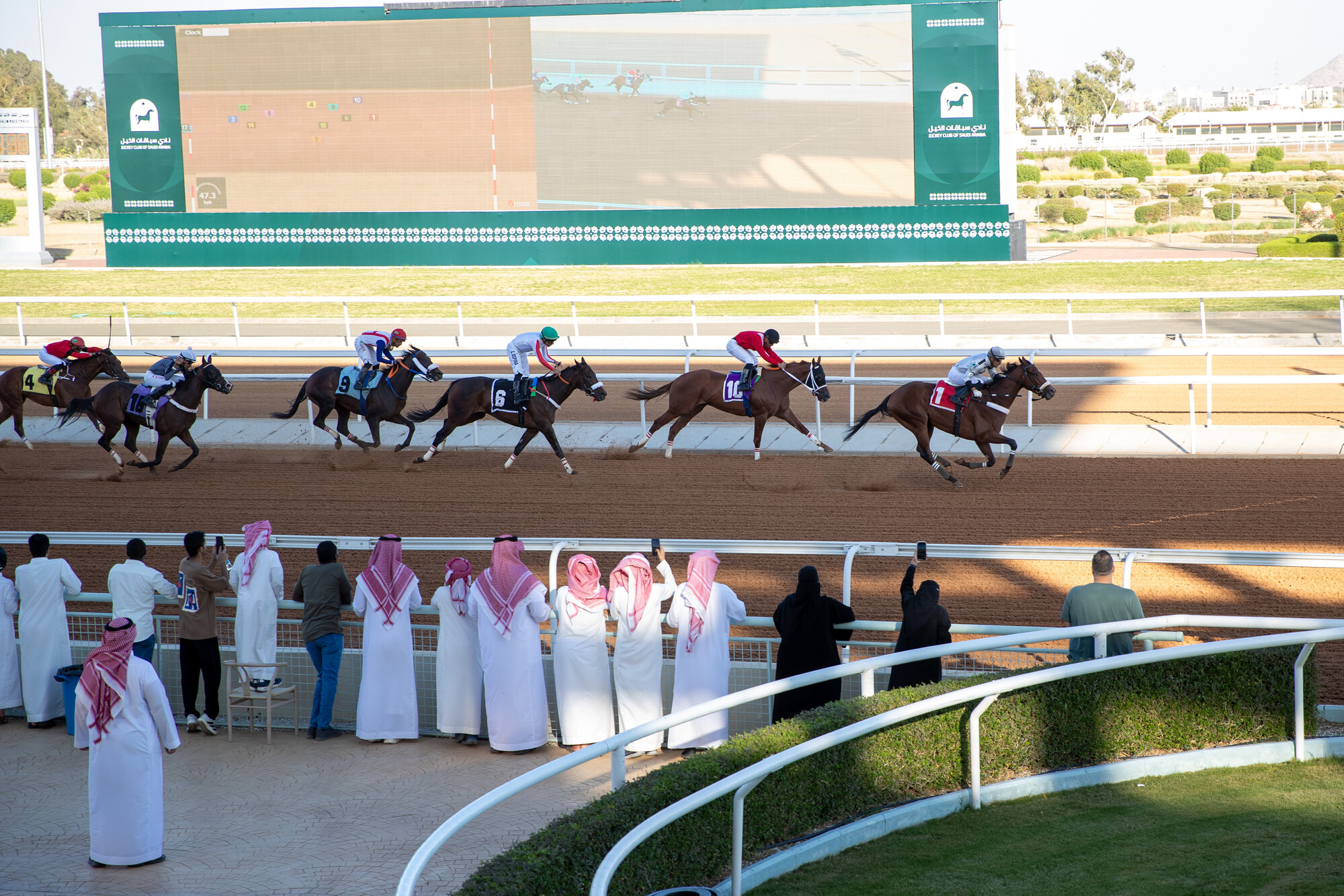 250730_Taif_Preview_Wk2_RS36029_AH8I2271_lpr.jpg