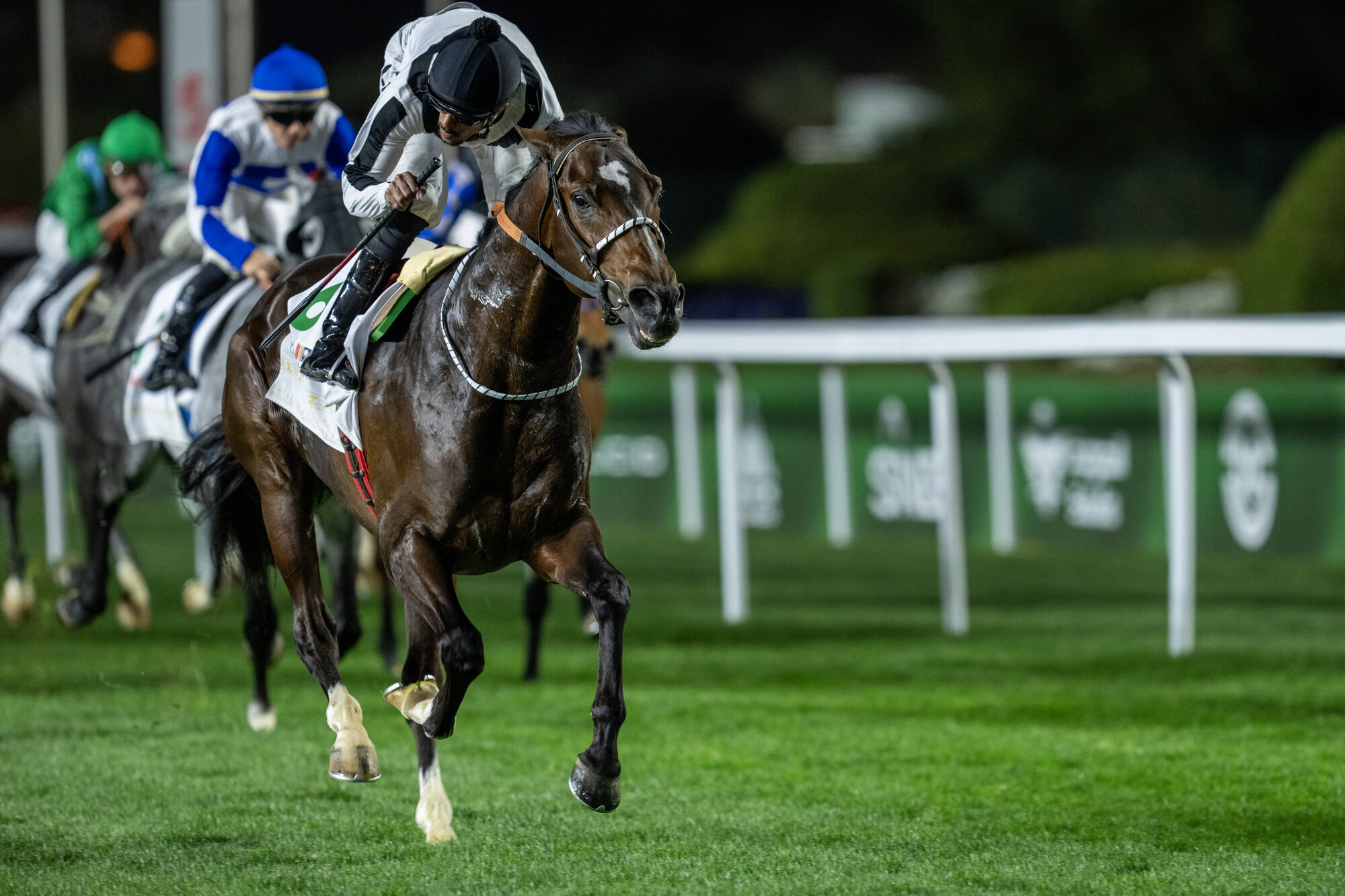 20240225_SaudiCup_RS21394_2-23-24_Tilal_Al_Khalediah_G1_Ministry_of_Culture_Al_Mneefah_Cup_Mathea_Kelley.jpg