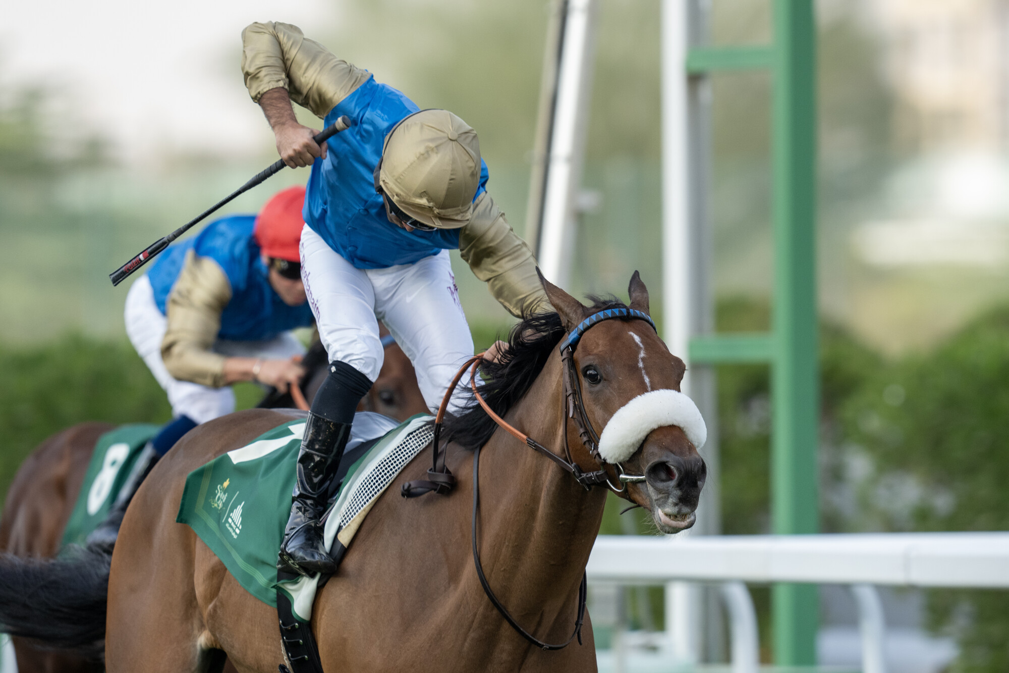 20240225_SaudiCup_RS21550_2-24-24_King Shalaa NHC Saudi International Handicap__Mathea Kelley_lpr.jpg