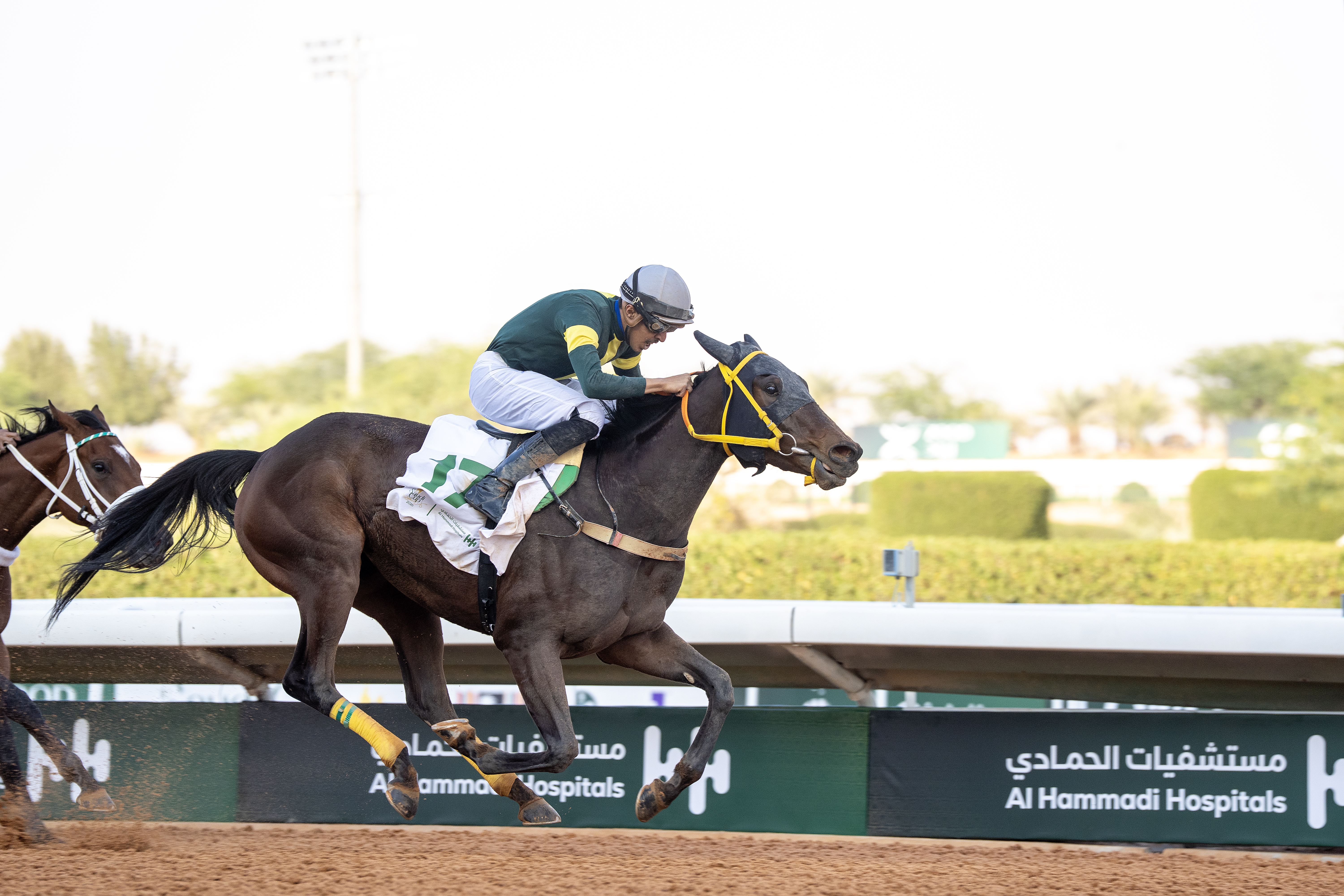Tedoum_FilliesMile_21326_King Abdulaziz Racecourse_Riyadh Saudi Arabia_ Mathea Kelley-JCSA.jpg