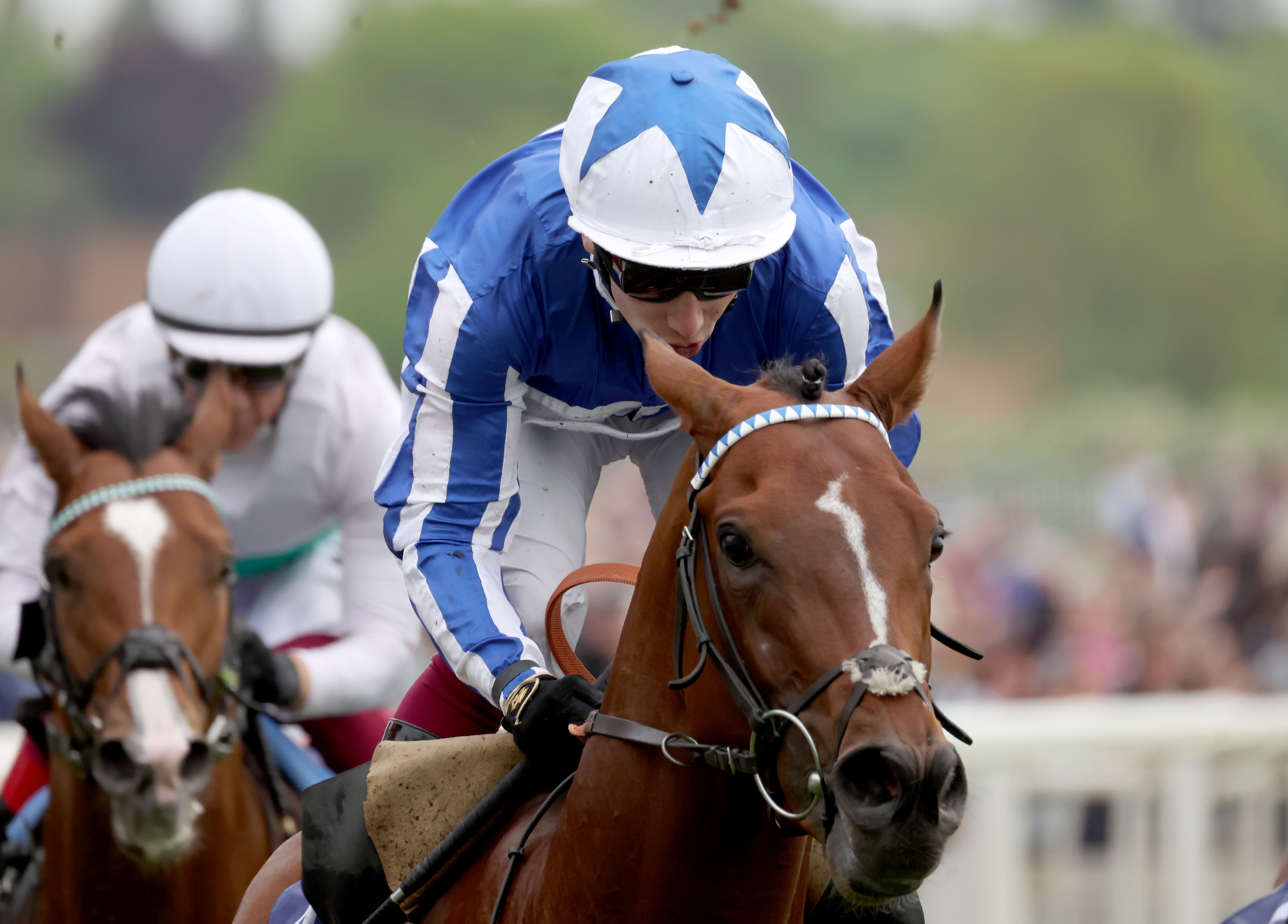 20240215_SaudiCup_The Foxes-18.5.23-6.jpg