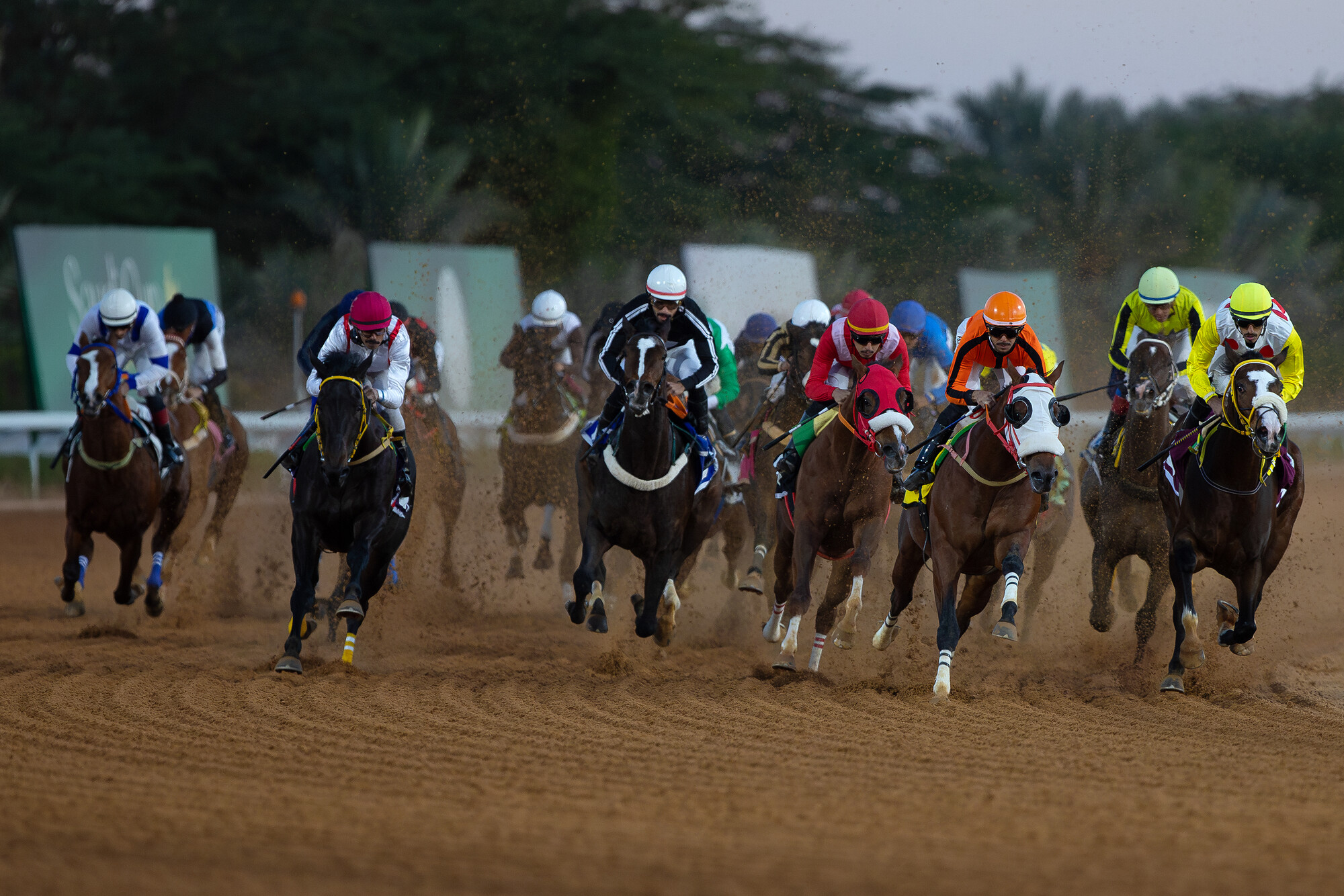 2025 Riyadh ProgramRS30311_A62I7715_lpr (1).jpg