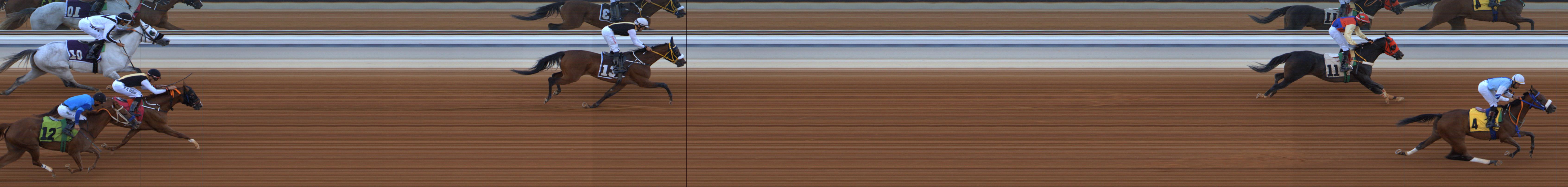 Photo finish — 2025-10-18
