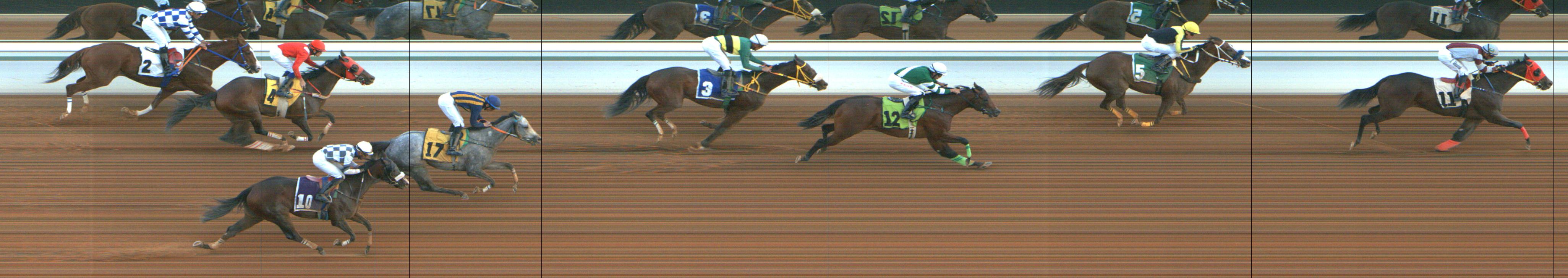 Photo finish — 2024-12-12