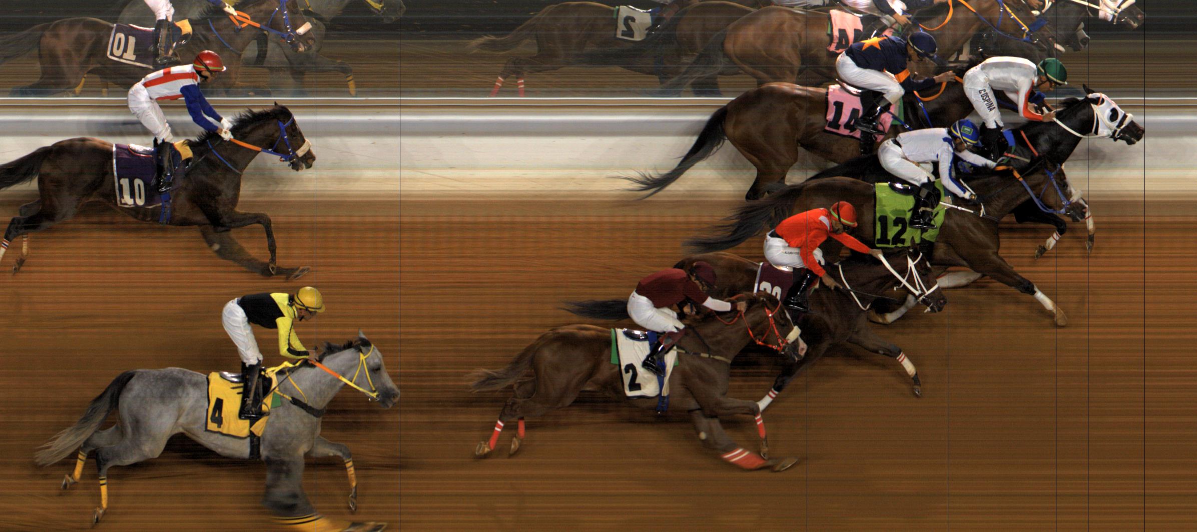 Photo finish — 2025-10-23