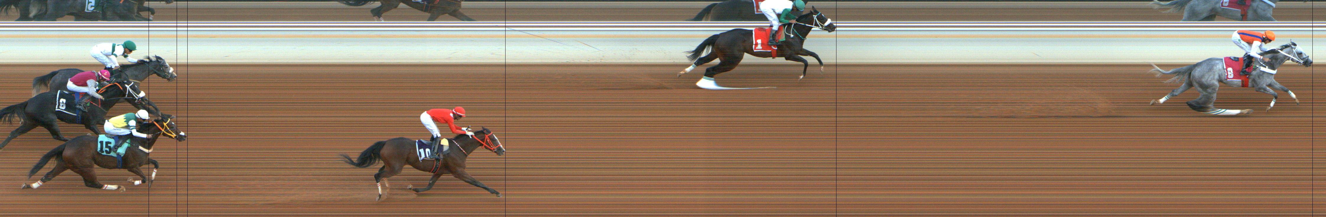 Photo finish — 2024-10-25