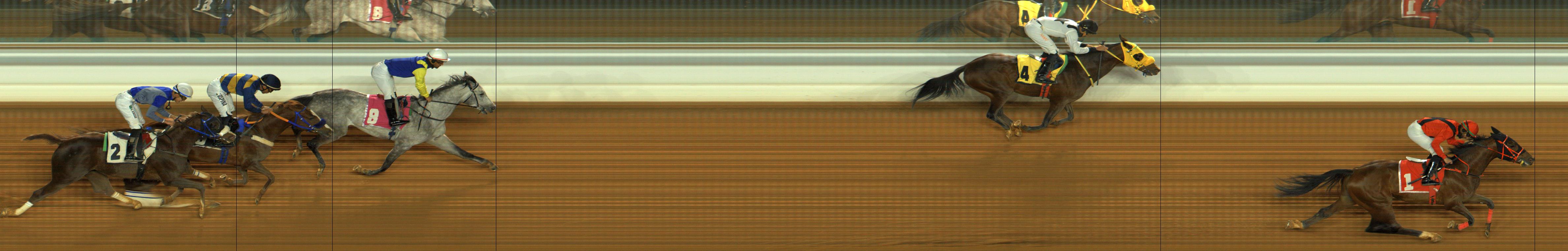Photo finish — 2026-01-22