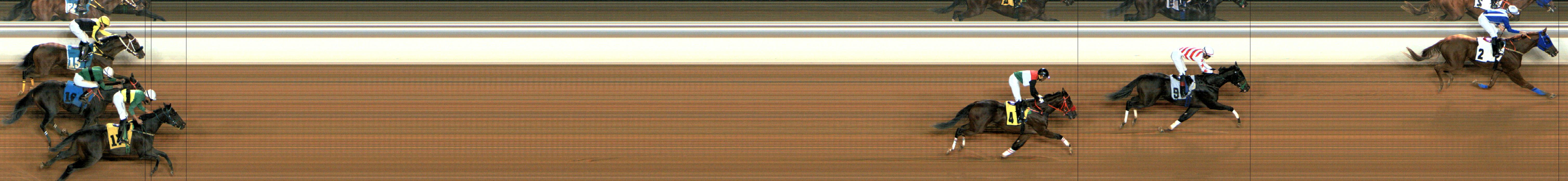 Photo finish — 2024-11-01