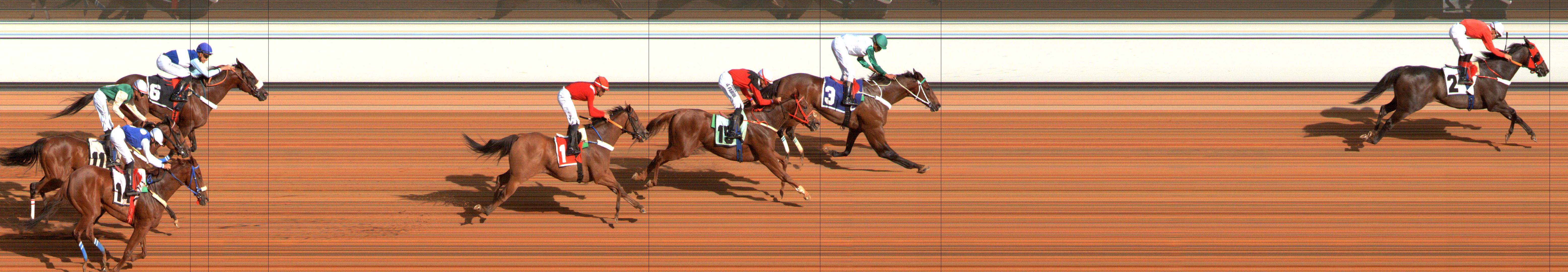Photo finish — 2024-08-03