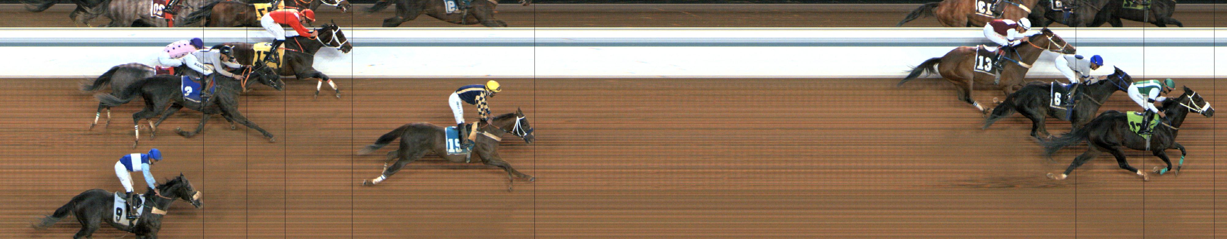 Photo finish — 2024-12-12