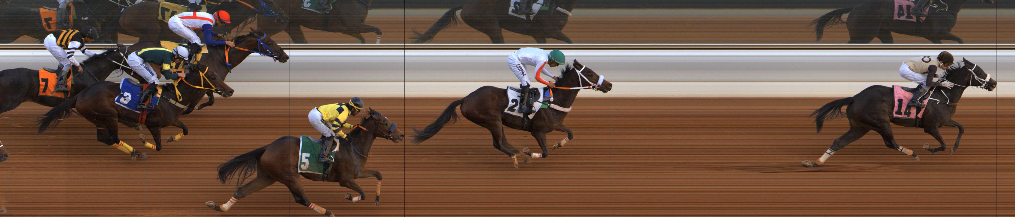 Photo finish — 2026-01-10