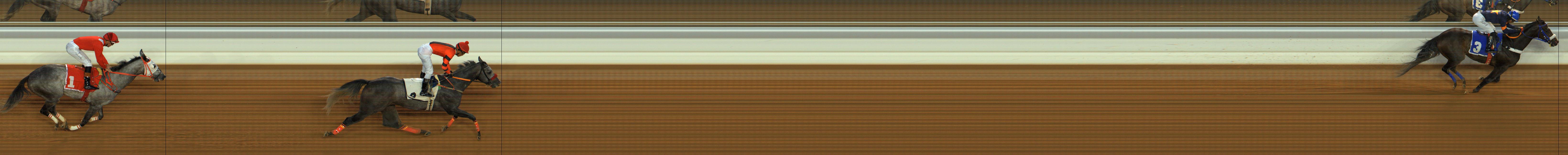 Photo finish — 2025-12-19