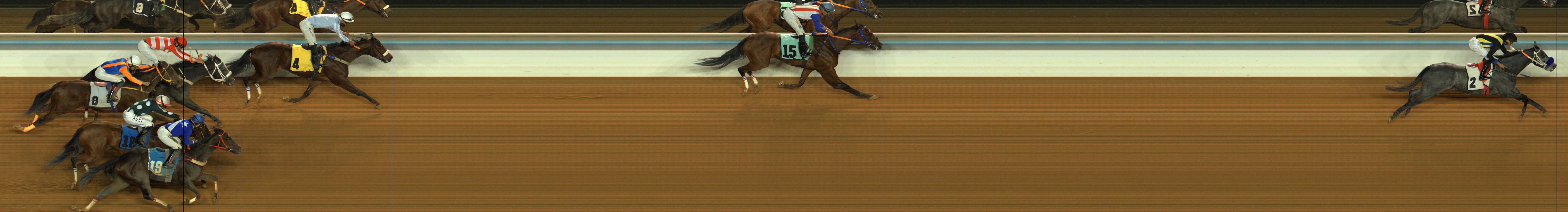 Photo finish — 2026-01-01