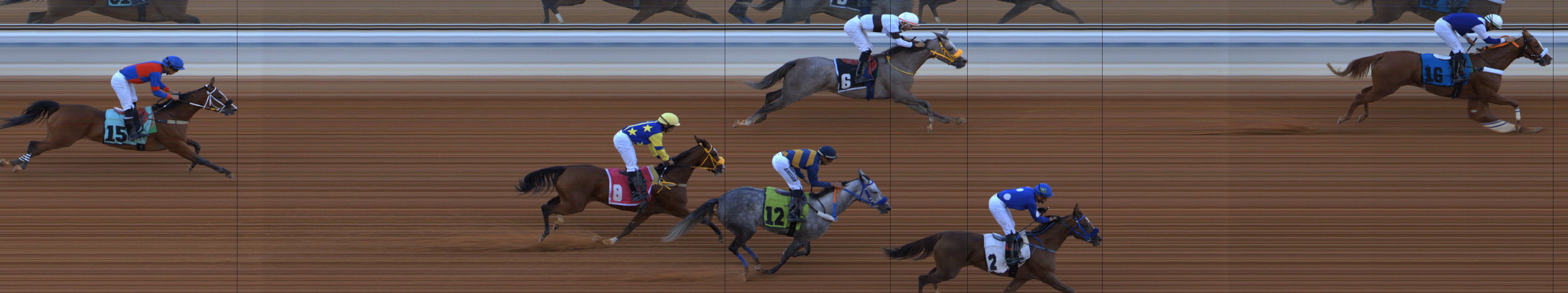 Photo finish — 2025-10-23