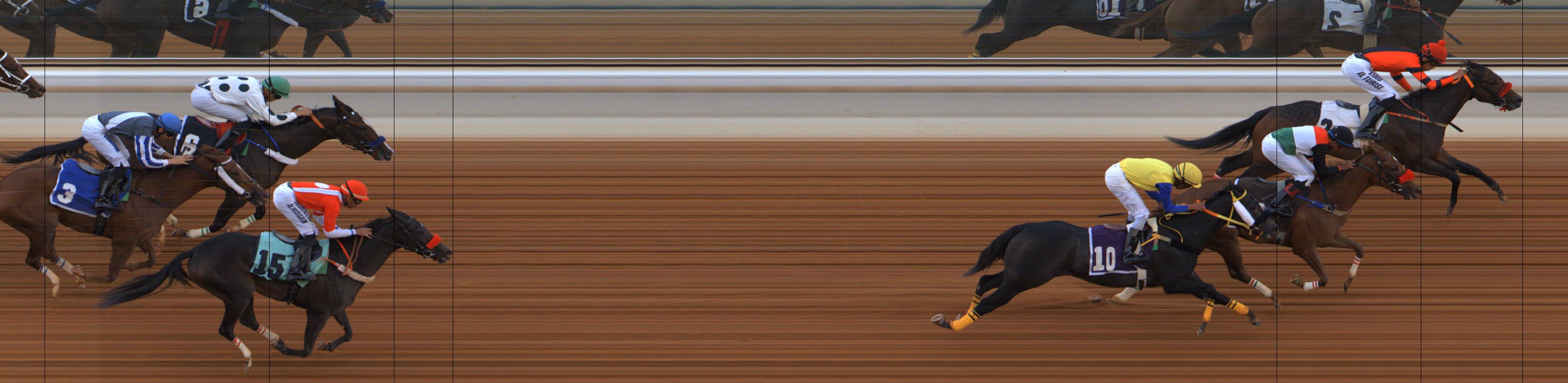 Photo finish — 2025-11-14