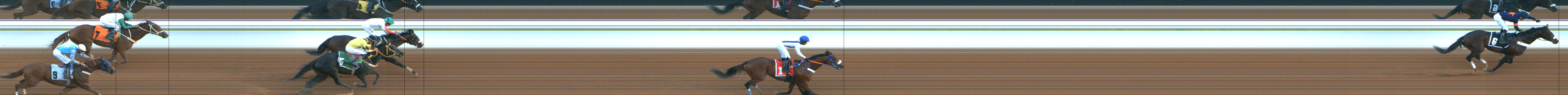 Photo finish — 2024-12-07