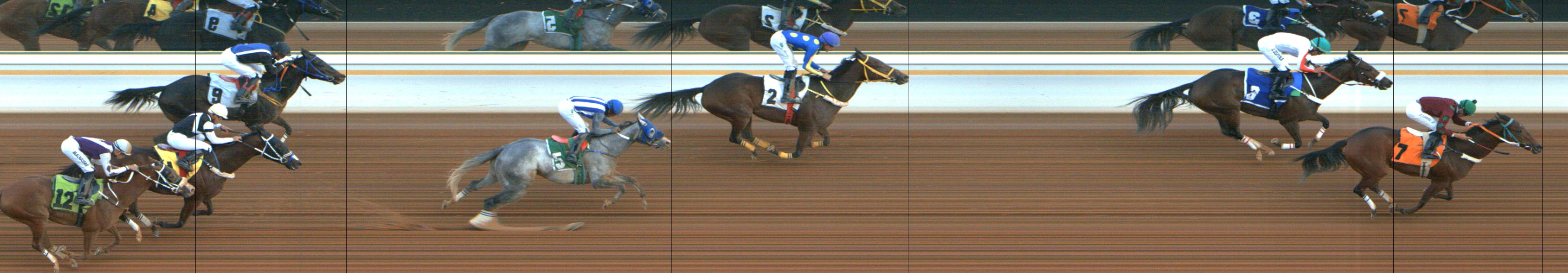 Photo finish — 2024-12-05