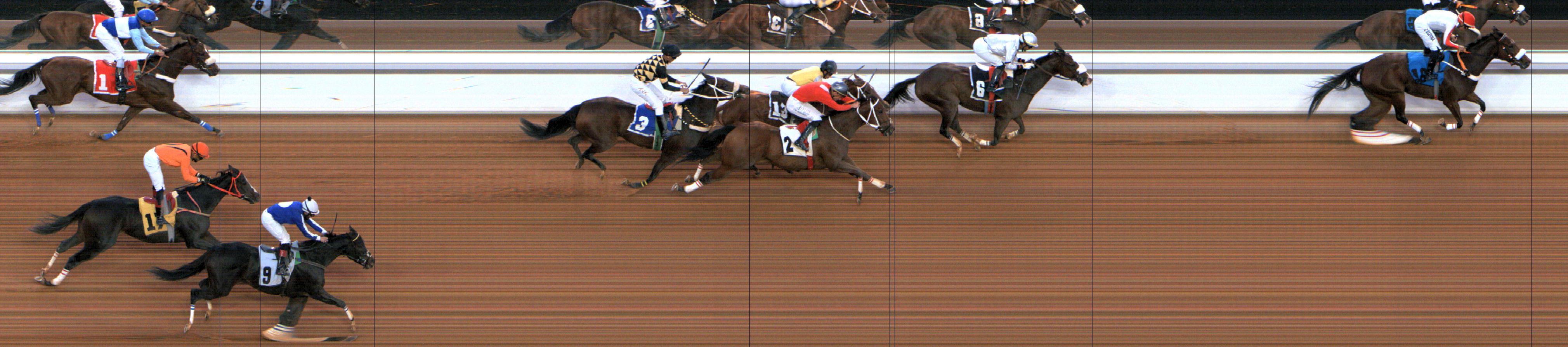 Photo finish — 2024-11-22