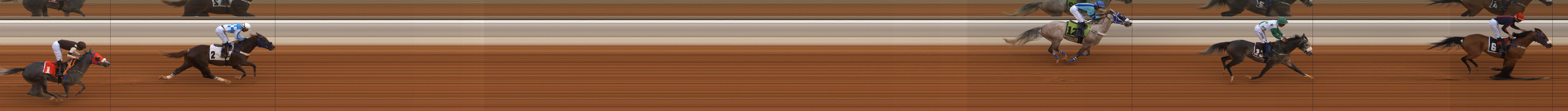 صورة خط النهاية — 2026-01-24
