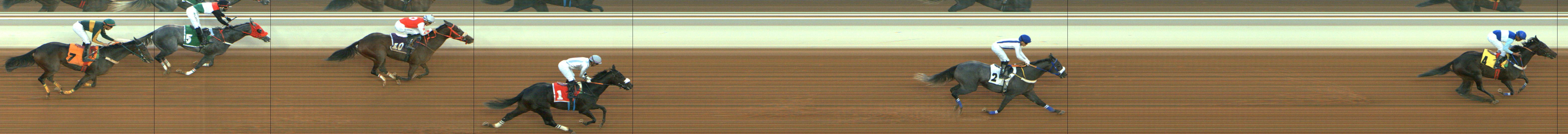 Photo finish — 2024-11-02