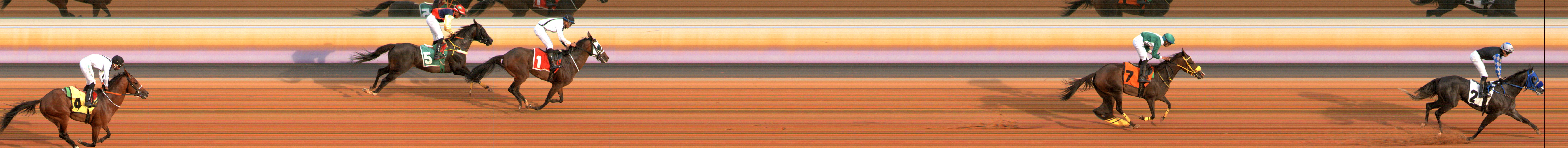 Photo finish — 2024-08-24