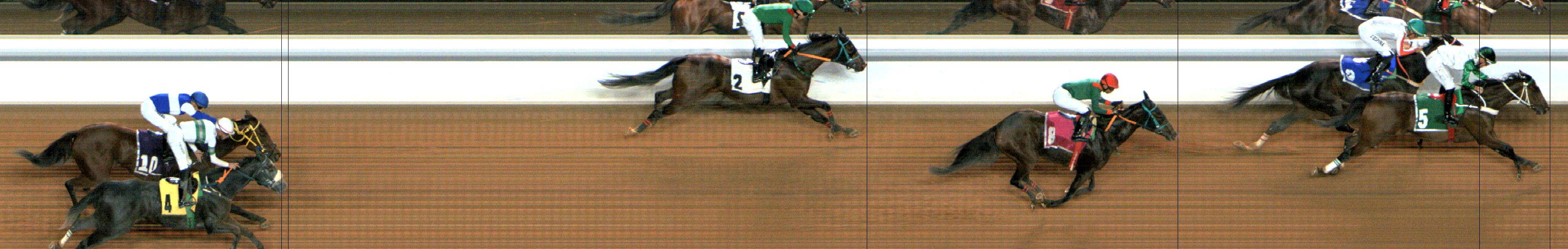 Photo finish — 2024-12-07