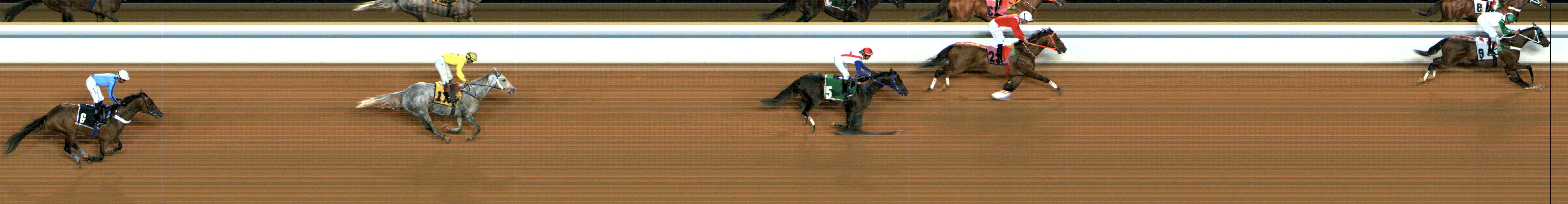 Photo finish — 2024-12-14