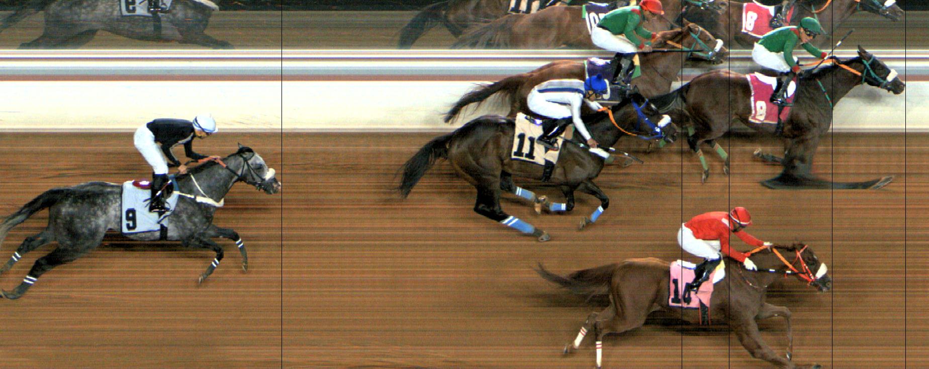 Photo finish — 2024-10-25