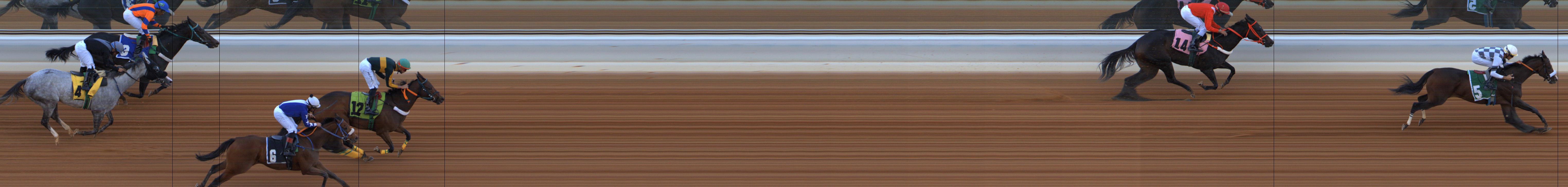 Photo finish — 2025-10-30