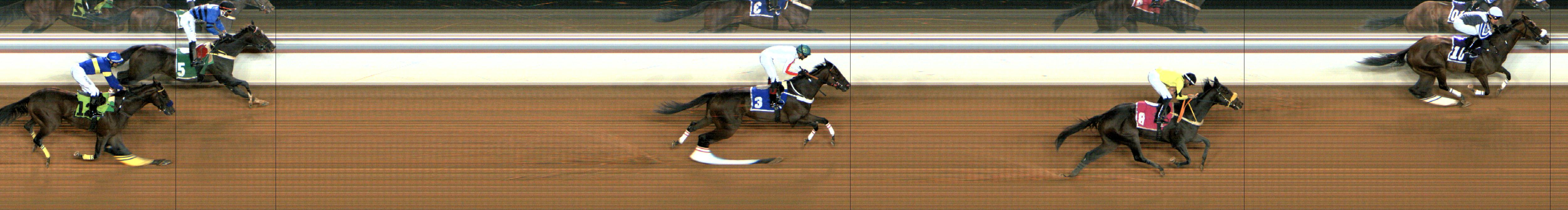 Photo finish — 2024-10-25