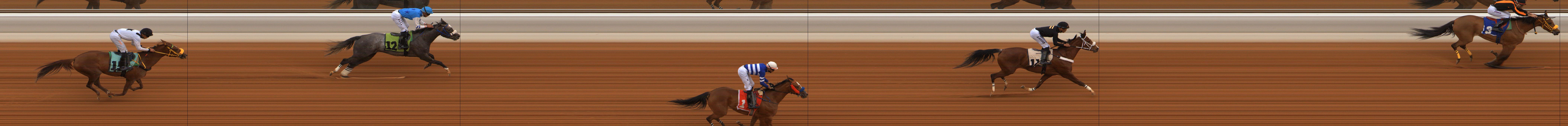 Photo finish — 2026-01-24