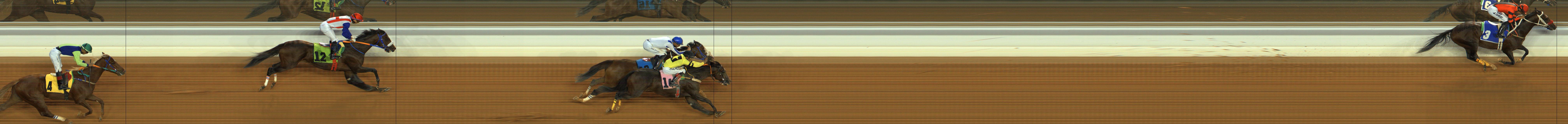 Photo finish — 2025-11-27
