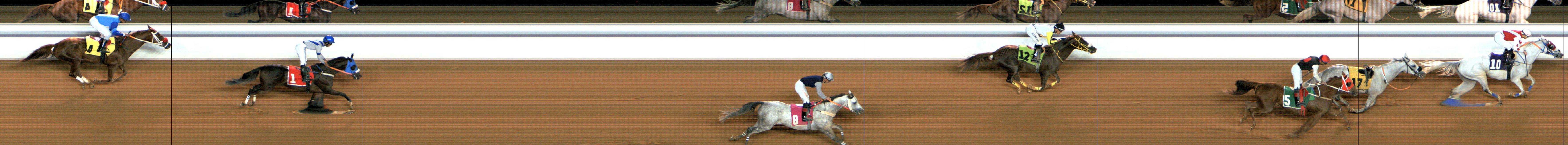 Photo finish — 2024-11-29