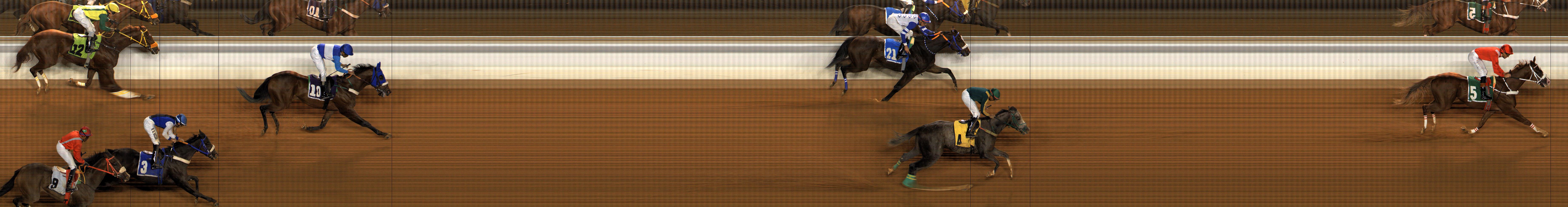 Photo finish — 2025-11-28