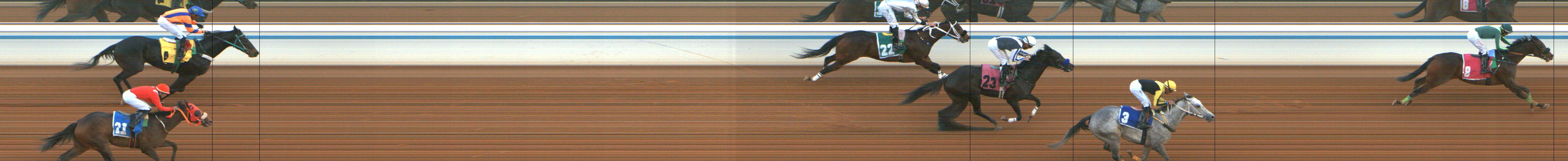 Photo finish — 2025-02-07