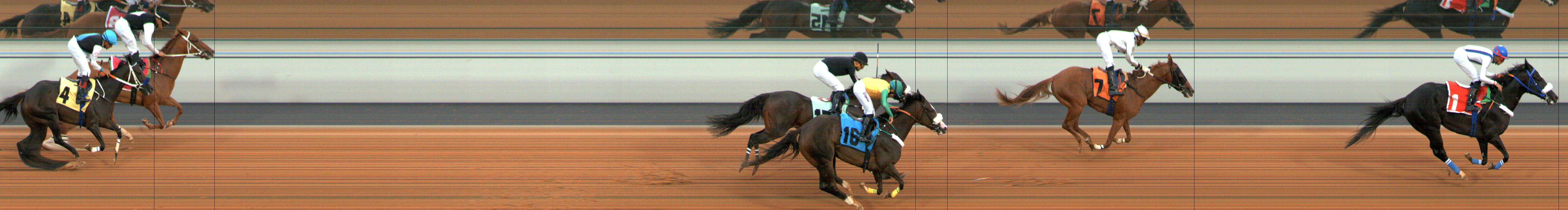 Photo finish — 2024-08-16