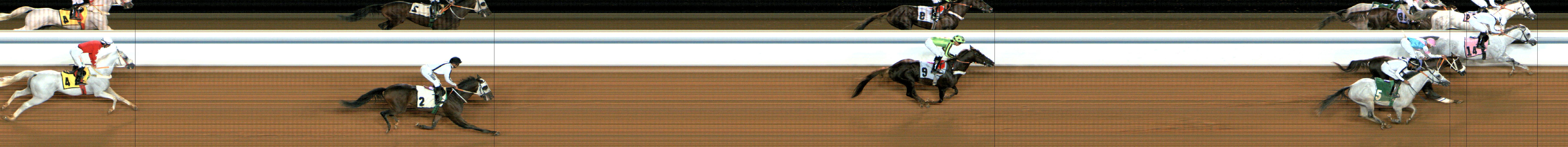 Photo finish — 2024-12-14
