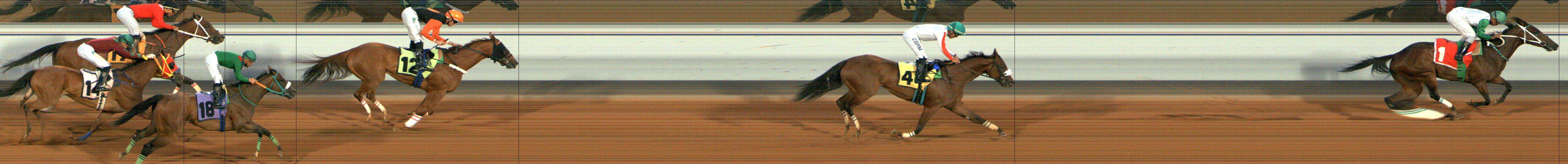 Photo finish — 2025-07-26