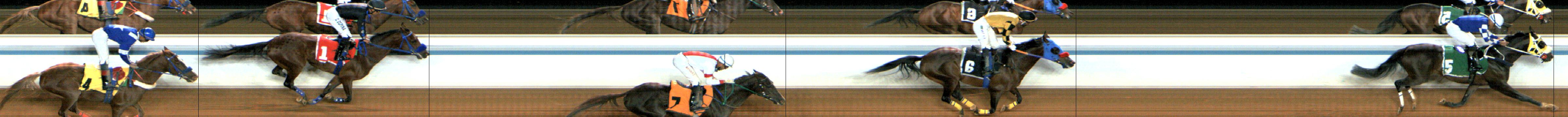 Photo finish — 2024-12-12