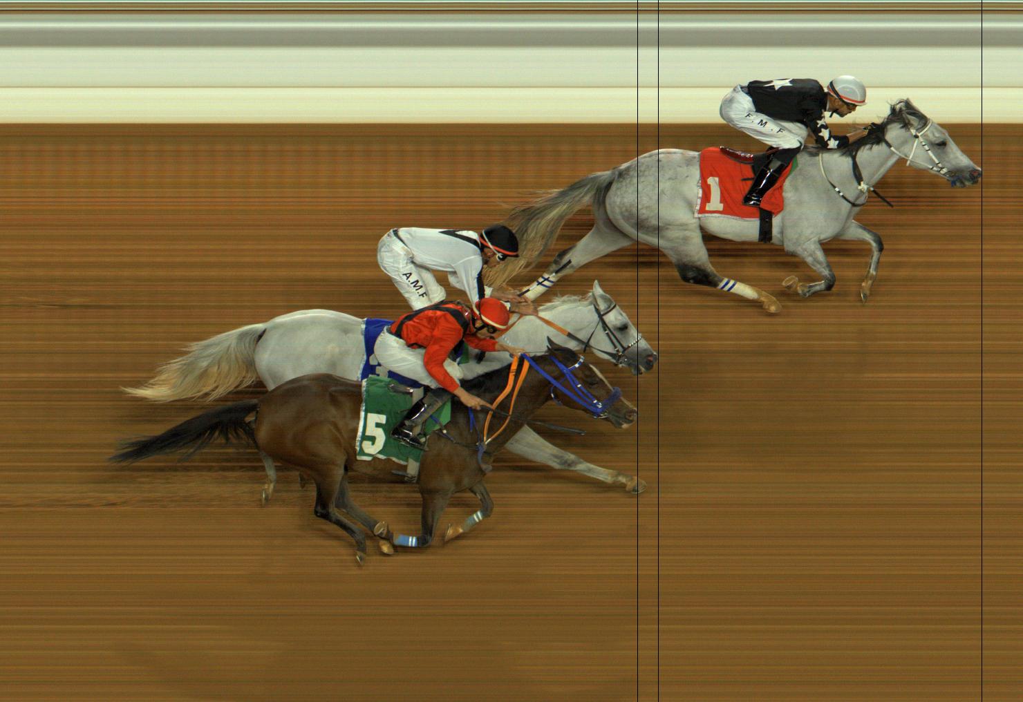 Photo finish — 2026-01-08